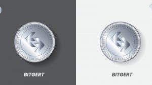 Bitgert BRISE-USD coin.