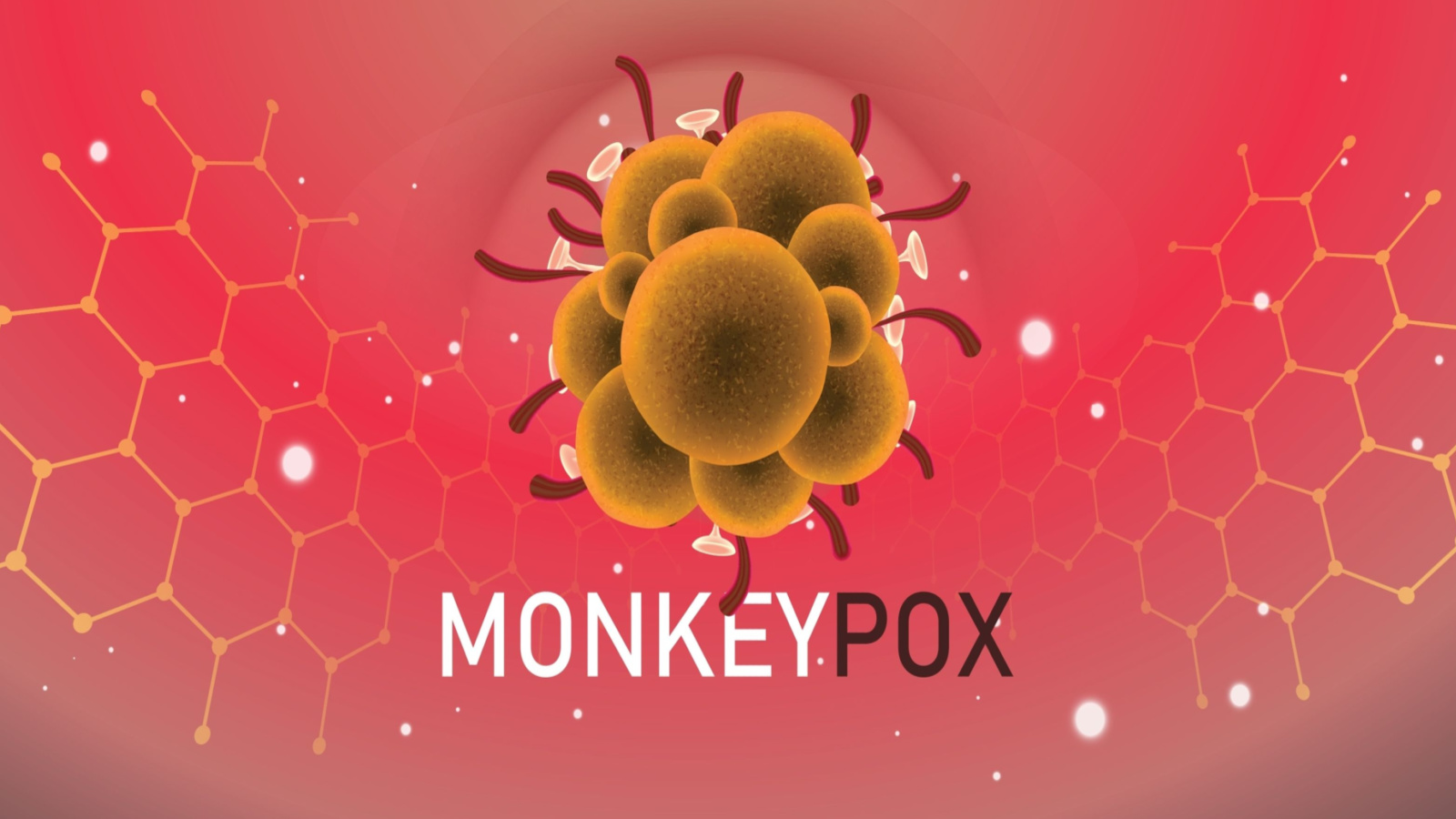 An image showing a representation of the monkeypox virus representing SIGA Stock.