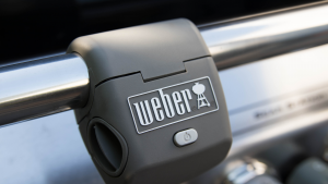 A Weber (WEBR) barbecue grill