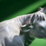 Close up photo of ceramic bull figurine on green background. magnificent 7 stocks