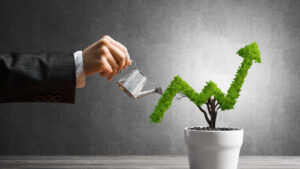 Woman's hand watering a small potted plant in the shape of a growing chart representing growth stocks
