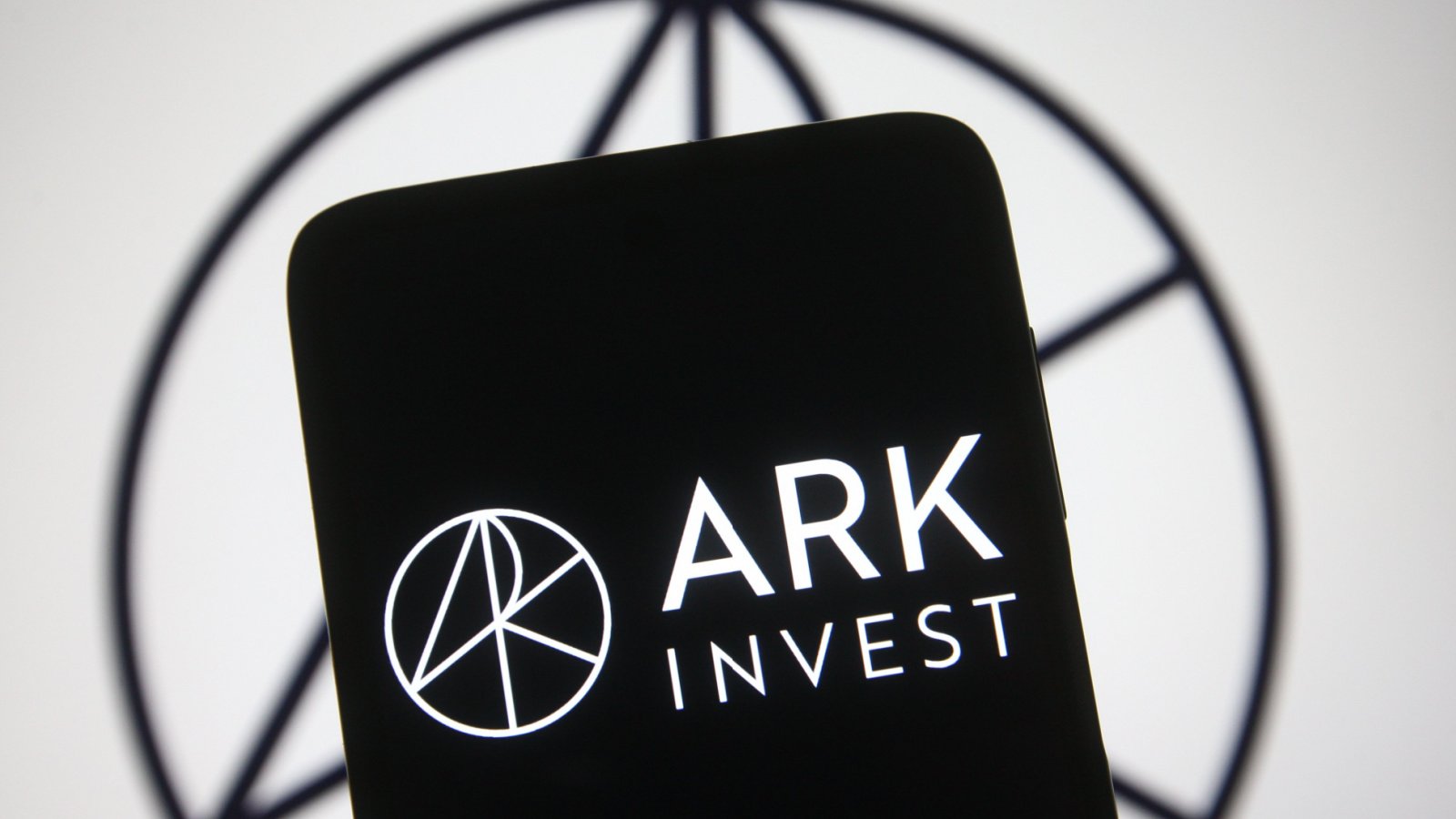 ARK Invest: The 7 Words That Explain Why Wall Street Can't Stand Cathie Wood