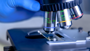 Scientific handling a light microscope examines a laboratory sample for pharmaceutical bioscience research. Concept of science, laboratory and study of diseases. Twist Biosciences (TWST)