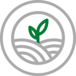 Icon depicting a growing plant