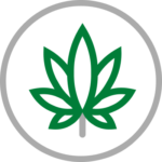 Cannabis Stocks Icon