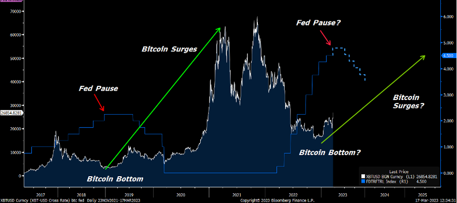 Chart showing a long-term chart of Bitcoin surging after the Fed pauses rate hikes