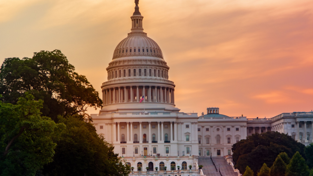 3 Startups Leading American Innovation... and 8 More in the Wings