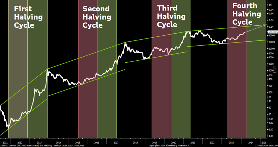Halving Cycle