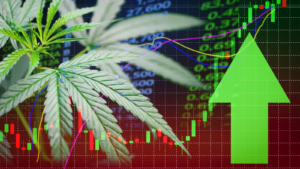 Business marijuana leaves cannabis stocks success market price green arrow up profit growth charts graph money display screen up industry trend grow higher quickly / Commercial cannabis medicine money