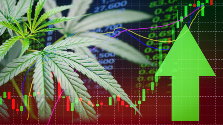 cannabis stocks - Cashing in on Cannabis: Why These 3 Weed Stocks Are Primed to Pop