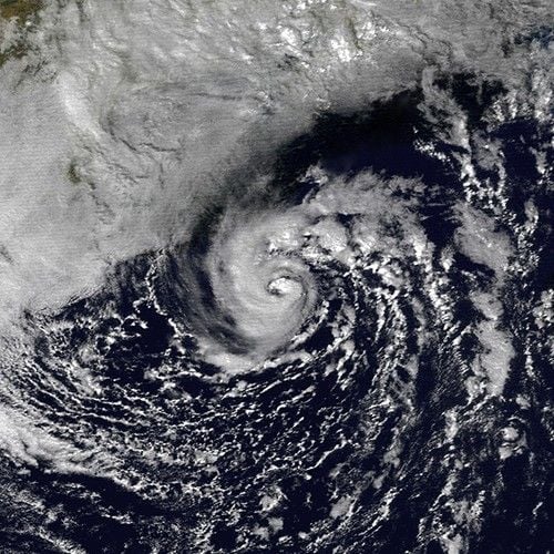 Get Rich From Crypto