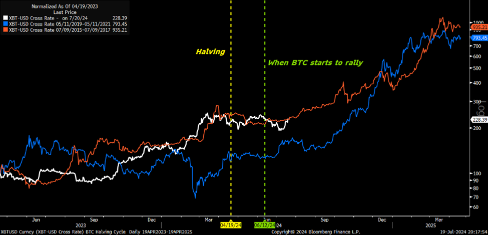 Chart showing the timing of a Bitcoin halving relative to when Bitcoin begins to climb